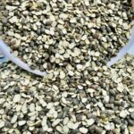 Urid daal 1kg